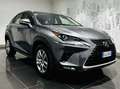 Lexus NX 300 NX I 2018 300h 2.5 Premium 4wd cvt Gris - thumbnail 5