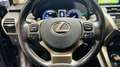 Lexus NX 300 NX I 2018 300h 2.5 Premium 4wd cvt Gris - thumbnail 10