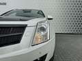 Cadillac SRX 3.6 V6 AWD Premium Pano Leer Xenon Trekhaak Blanc - thumbnail 22