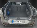 Ford Capri Premium 79KW 340PS Glasdach AHK PDC Gris - thumbnail 7
