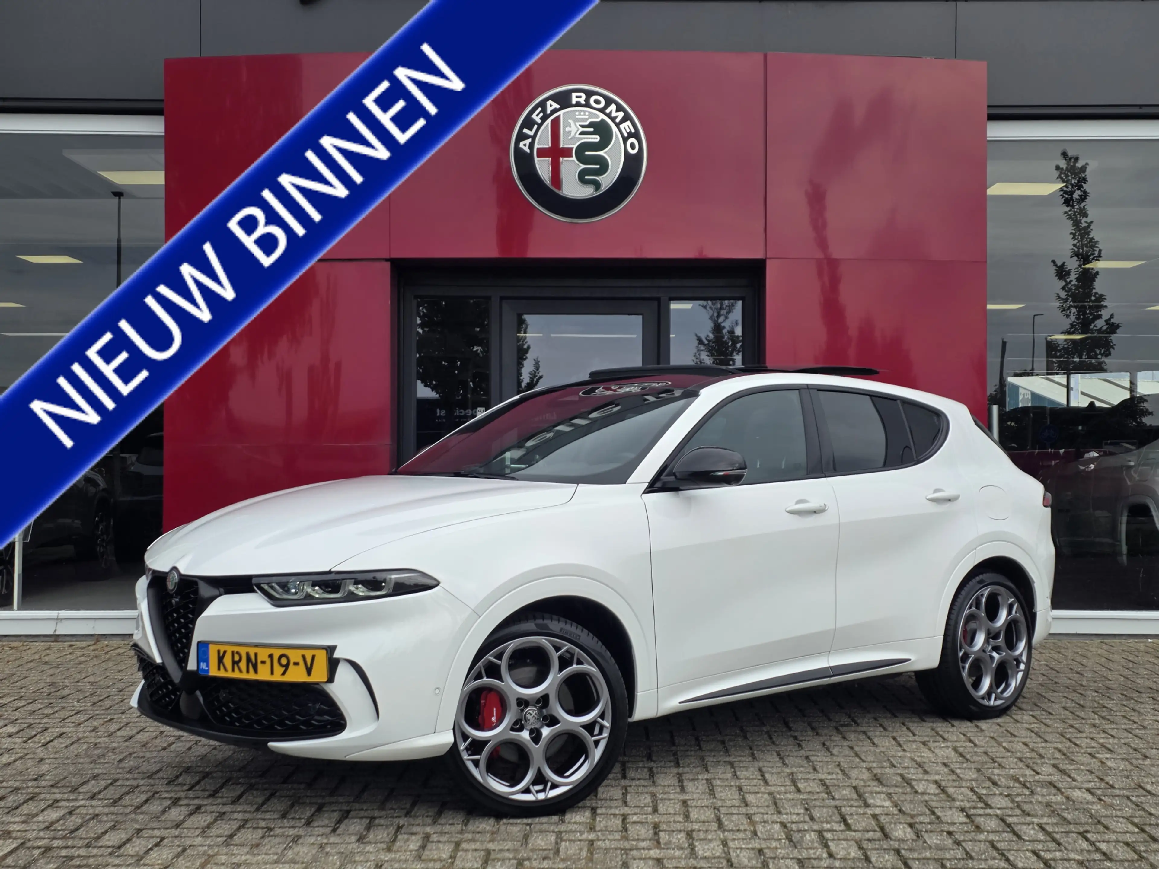 Alfa Romeo Tonale 1.3T PHEV 280PK Tributo Italiano | Panorama-dak |