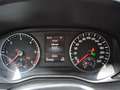 Volkswagen Amarok 3.0 TDI 258 PS 4M Autom. Aventura HARDTOP/AHK/STA Gris - thumbnail 13