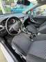 Opel Astra 1.2T S/S Edition 110 Blanco - thumbnail 11