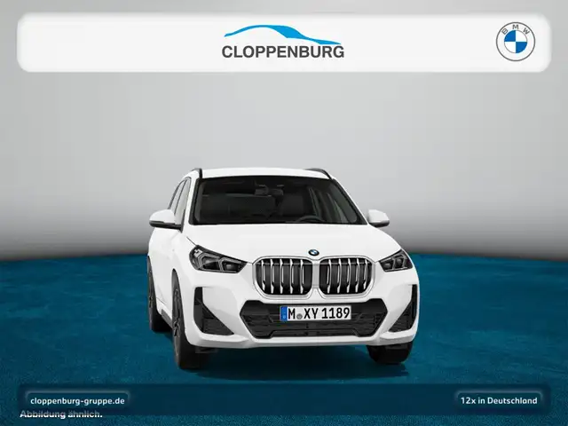 BMW X1 view 11