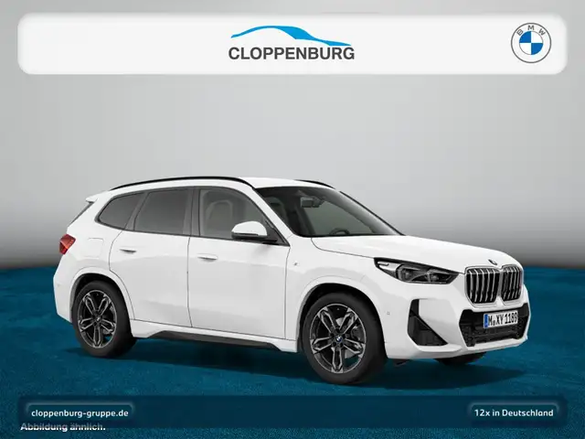 BMW X1 view 10