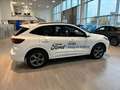 Ford Kuga 2.5 phev ST-Line X 2wd 243cv auto Blanco - thumbnail 6