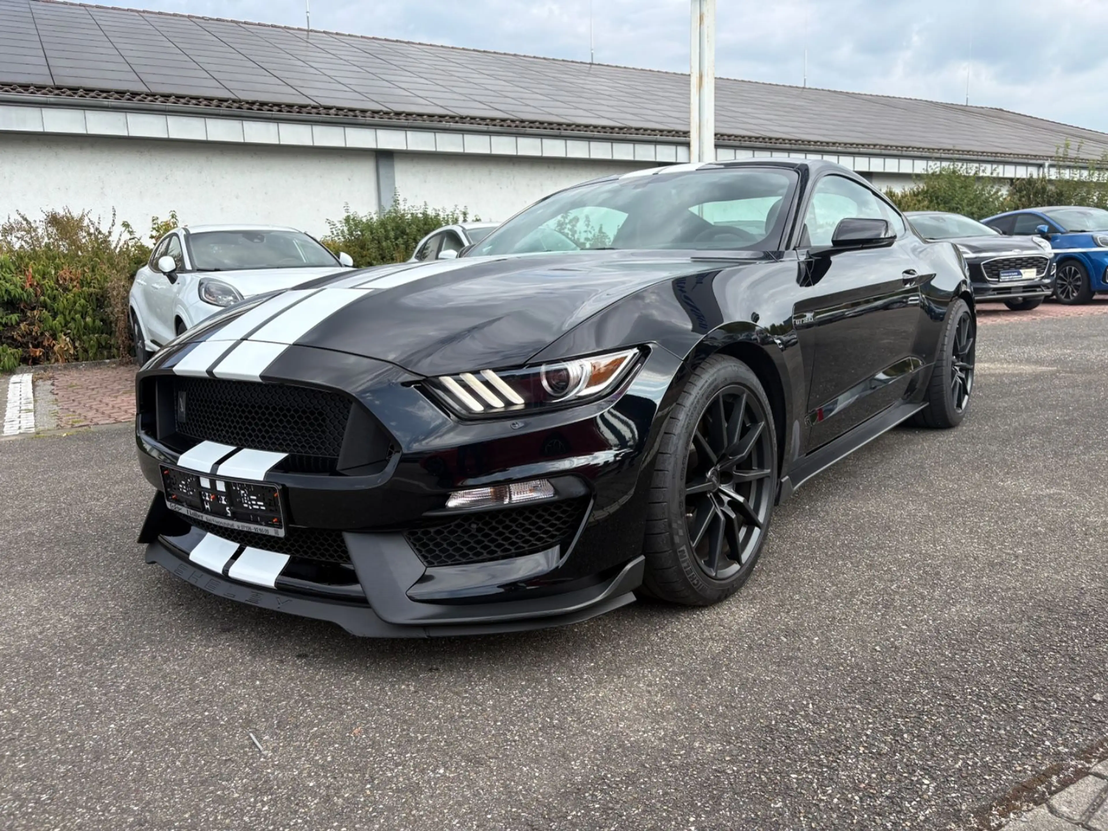 Ford Mustang Shelby GT 350+Technology-Pckg. — photo 2