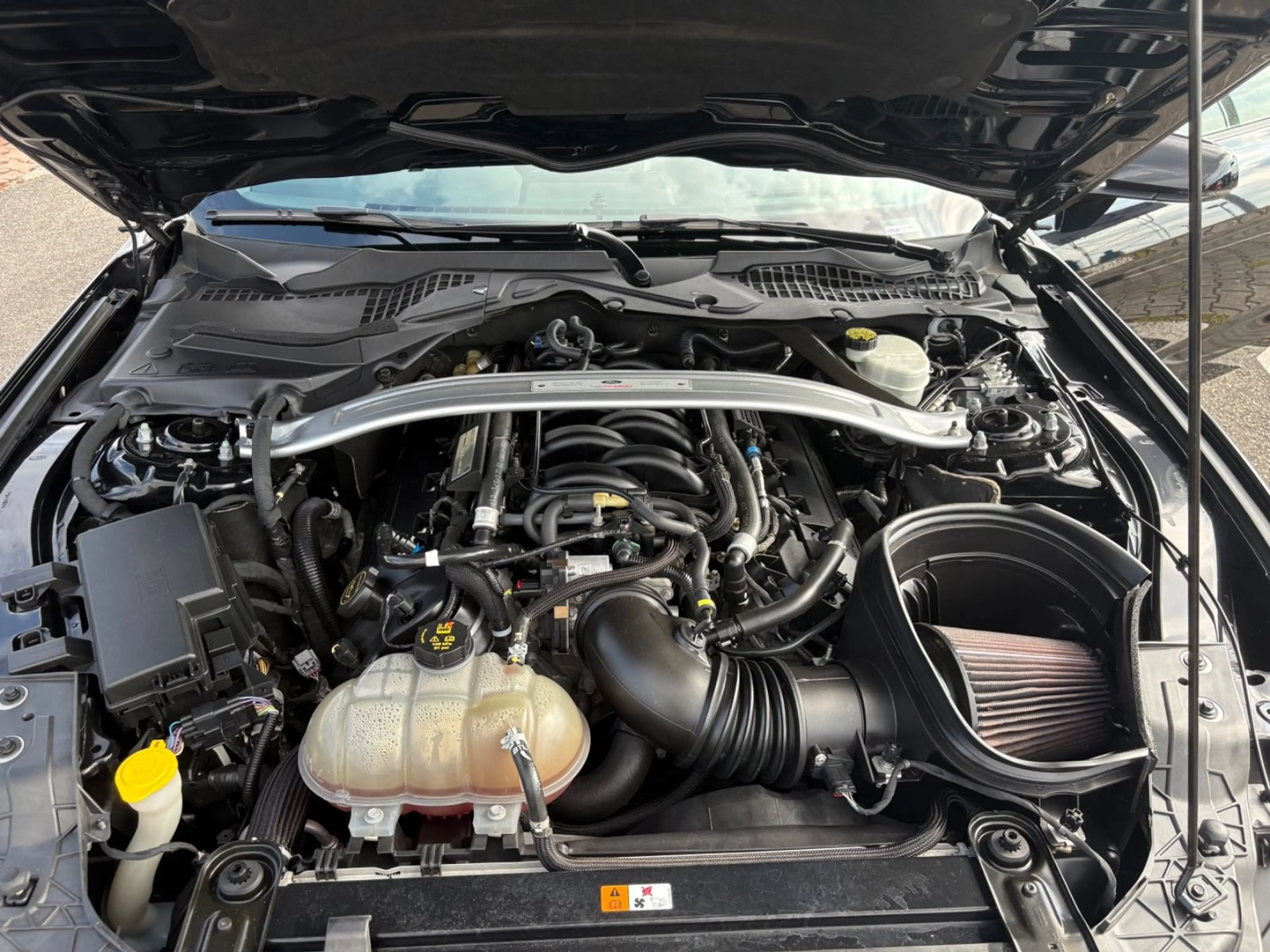 Ford Mustang Shelby GT 350+Technology-Pckg. — photo 22