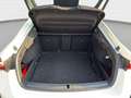 Skoda Octavia 2.0 TDI DSG Sportline Navi*Kamera*Head-U Weiß - thumbnail 10