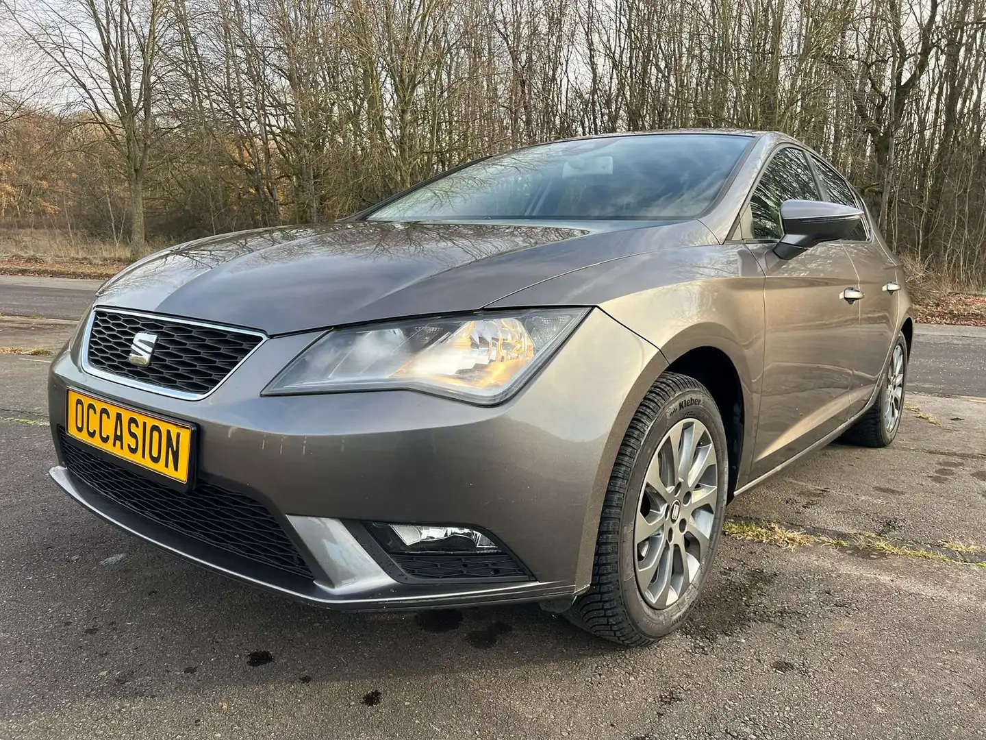 SEAT Leon Leon 1.6 TDI DPF Start Gris - 1