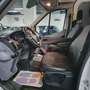 Ford Transit 2.0 TDCi L2H2 * FULL EQUIPE * PETIT KM! Blanc - thumbnail 22