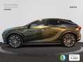 Lexus RX 450h 450h+ Executive Verde - thumbnail 3