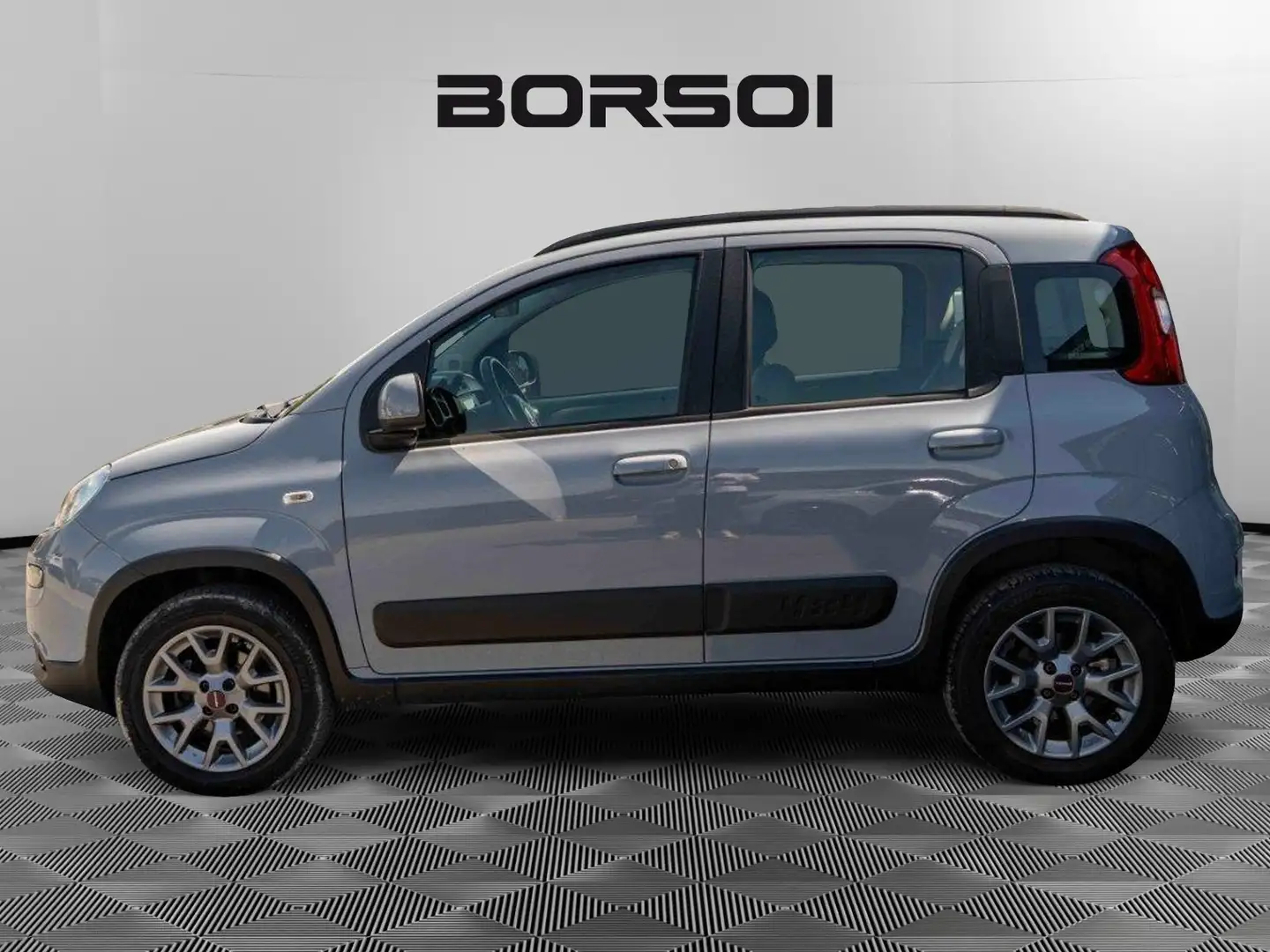 Fiat Panda 3ª serie 0.9 TwinAir Turbo S&S 4x4 Grigio - 2