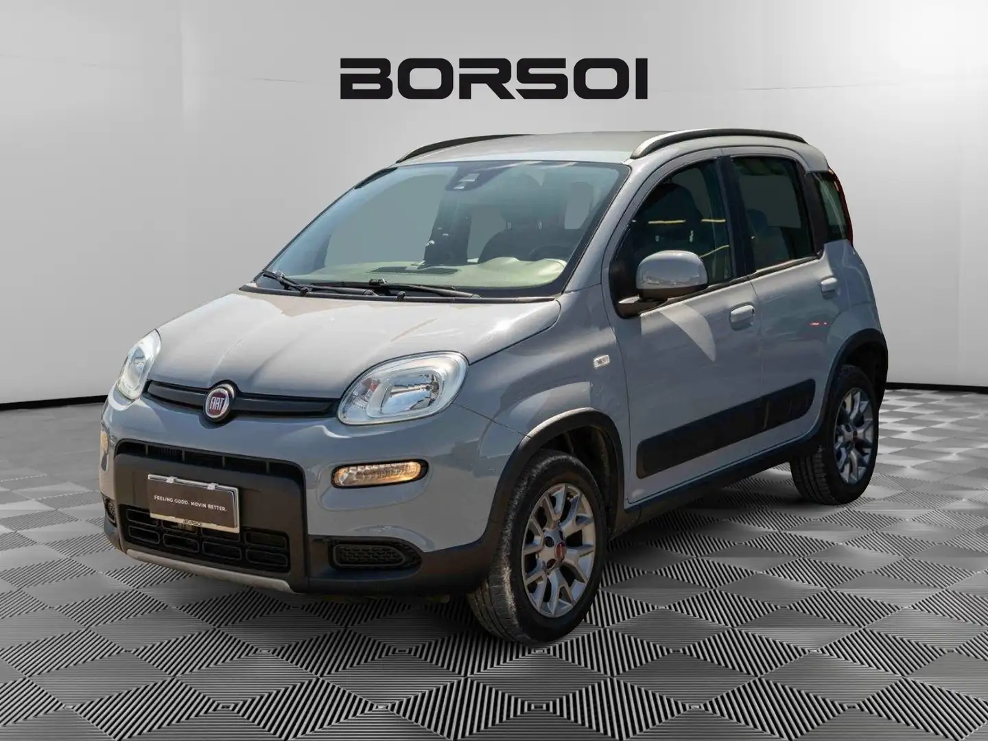 Fiat Panda 3ª serie 0.9 TwinAir Turbo S&S 4x4 Grigio - 1