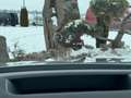 Mercedes-Benz GLE 400 d 4Matic Coupe AMG PANO DAB+ AHK Gris - thumbnail 23