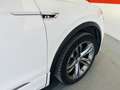 Volkswagen Tiguan 2.0TDI Sport 4Motion DSG 176kW (9.75) Wit - thumbnail 27