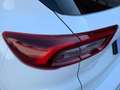 Ford Kuga ST-Line X 2.5 Duratec PHEV 178kW Auto Alb - thumbnail 20