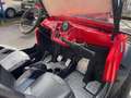 Polaris RZR 800 Rood - thumbnail 18