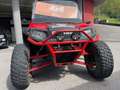 Polaris RZR 800 Rood - thumbnail 11