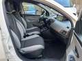 Lancia Ypsilon Ypsilon 1.2 69 CV 5 porte Silver 5 POSTI Bianco - thumbnail 8