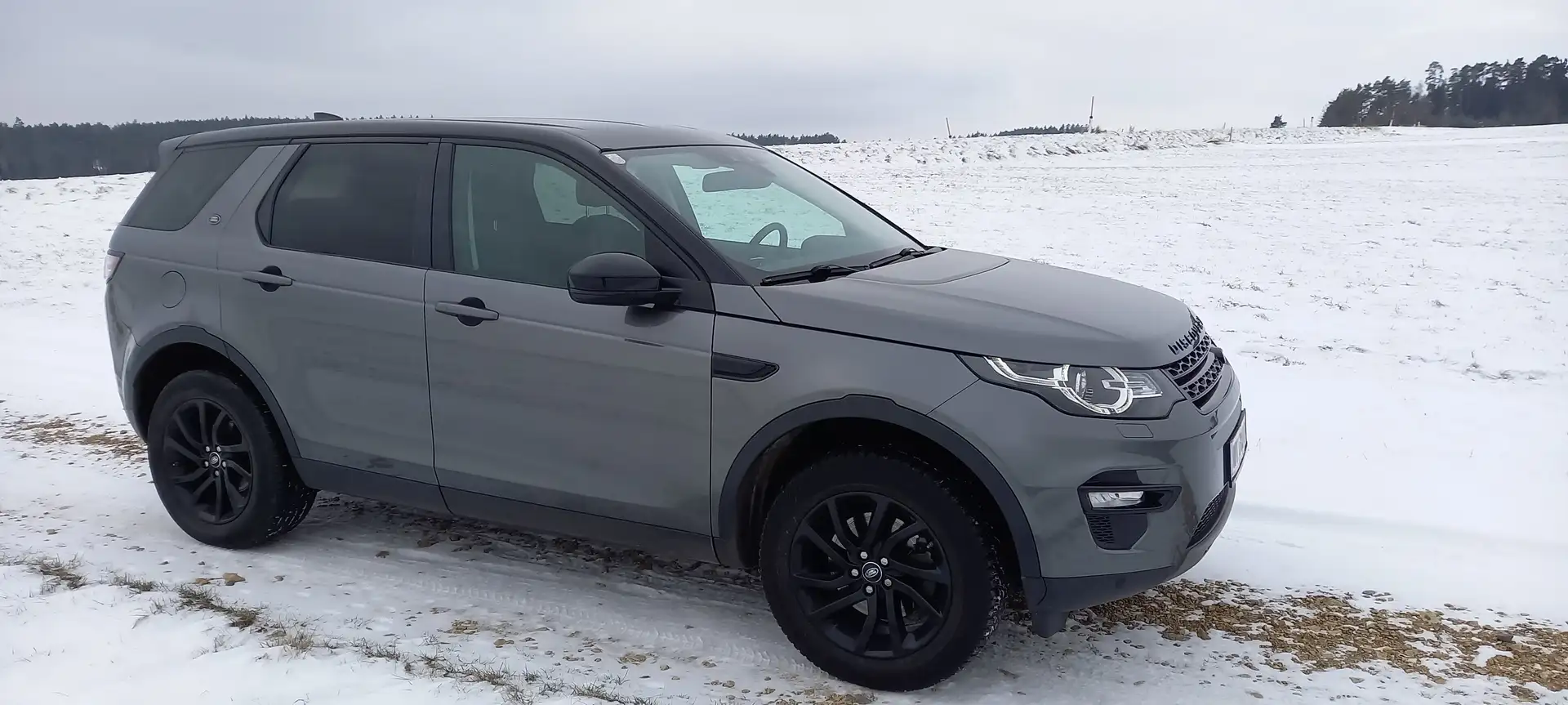 Land Rover Discovery Sport Discovery Sport 2,0 TD4 150 4WD SE Aut. SE Grau - 2