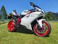 Ducati 848 EVO Blanco - thumbnail 15