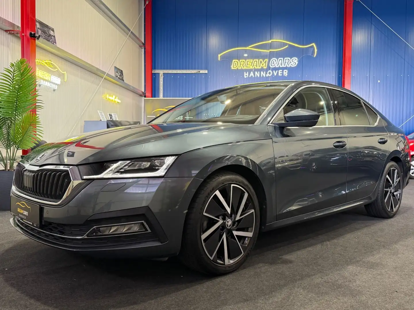 Skoda Octavia Lim. First Edition*1HAND*BELÜFTUNG*H-UP* Grau - 1
