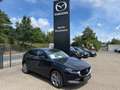 Mazda CX-30 2.5 140 PS e-SKYACTIV G Exclusive Automatik Blue - thumbnail 1