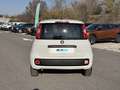 Fiat Panda 1.0 FireFly 70cv S&S Hybrid Bianco - thumbnail 4