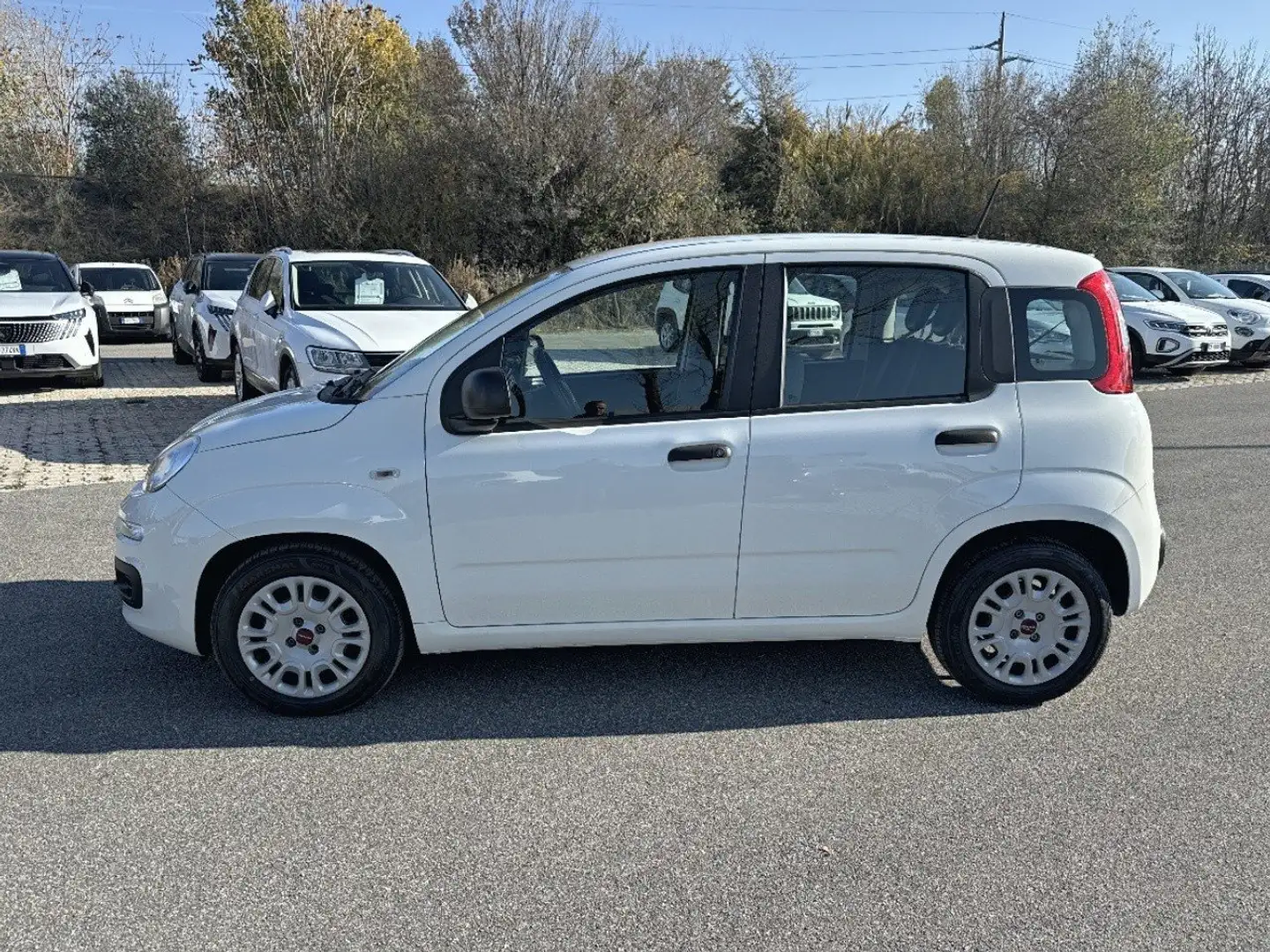 Fiat Panda 1.0 FireFly 70cv S&S Hybrid Bianco - 2