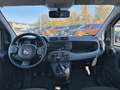 Fiat Panda 1.0 FireFly 70cv S&S Hybrid Bianco - thumbnail 8
