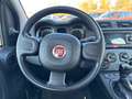 Fiat Panda 1.0 FireFly 70cv S&S Hybrid Bianco - thumbnail 13