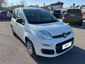 Fiat Panda 1.0 FireFly 70cv S&S Hybrid Bianco - thumbnail 5