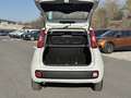 Fiat Panda 1.0 FireFly 70cv S&S Hybrid Bianco - thumbnail 11
