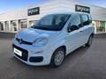 Fiat Panda 1.0 FireFly 70cv S&S Hybrid Bianco - thumbnail 1