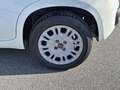 Fiat Panda 1.0 FireFly 70cv S&S Hybrid Bianco - thumbnail 7