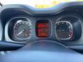 Fiat Panda 1.0 FireFly 70cv S&S Hybrid Bianco - thumbnail 12