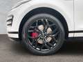 Land Rover Range Rover Evoque P200 R-DYNAMIC SE Schiebedach Weiß - thumbnail 9
