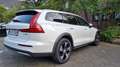 Volvo V60 Cross Country V60 Cross Country B4 D AWD Plus Blanc - thumbnail 5