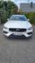 Volvo V60 Cross Country V60 Cross Country B4 D AWD Plus Blanc - thumbnail 4