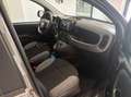 Fiat Panda 1.0 firefly hybrid City Life s&s 70cv 5p.ti Gris - thumbnail 15