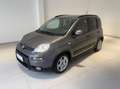 Fiat Panda 1.0 firefly hybrid City Life s&s 70cv 5p.ti Gris - thumbnail 3