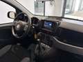 Fiat Panda 1.0 firefly hybrid City Life s&s 70cv 5p.ti Gris - thumbnail 16