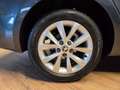 Skoda Octavia 1.6 tdi Executive 115cv dsg Grigio - thumbnail 6
