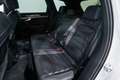 Volkswagen Touareg 3.0TDI V6 Premium Tiptronic Elegance 4M 210kW Blanco - thumbnail 34