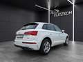Audi Q5 40 TDI quattro S-line S-tronic STH Matrix AHK N... Weiß - thumbnail 7