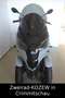Piaggio MP3 310 Sport hpe mit 4 Jahren Garantie Grijs - thumbnail 9