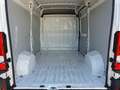 Peugeot Boxer 333 2.2 BlueHDi 140CV S&S L2H2 CLIMA + PARK Blanc - thumbnail 13