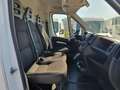Peugeot Boxer 333 2.2 BlueHDi 140CV S&S L2H2 CLIMA + PARK Blanc - thumbnail 11