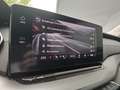 Skoda Octavia Ambition TDI DSG Zwart - thumbnail 9